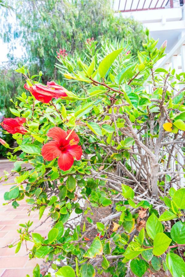 Vivienda Vacacional Sea Garden Costa Teguise Ngoại thất bức ảnh